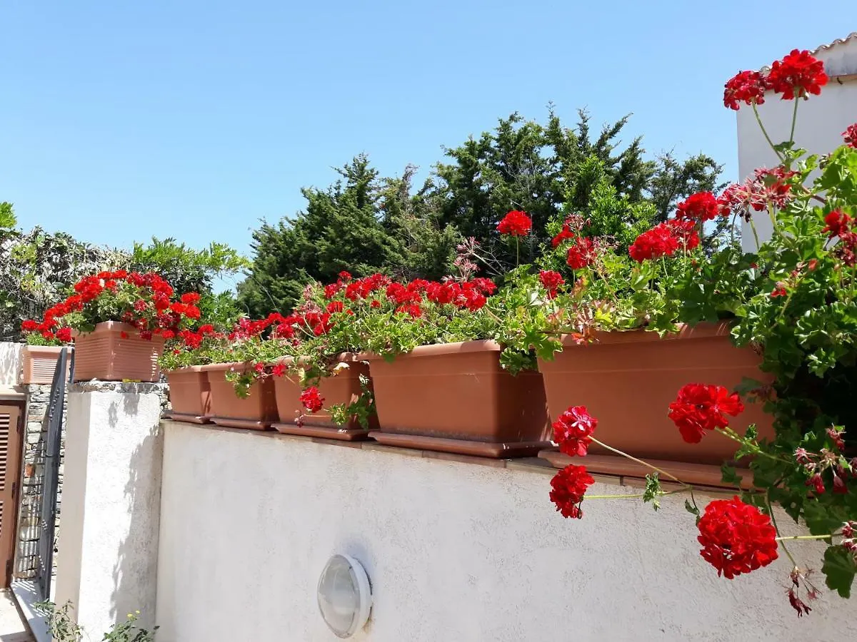 Villino Messina Lägenhet San Vito Lo Capo 0*,  Italien